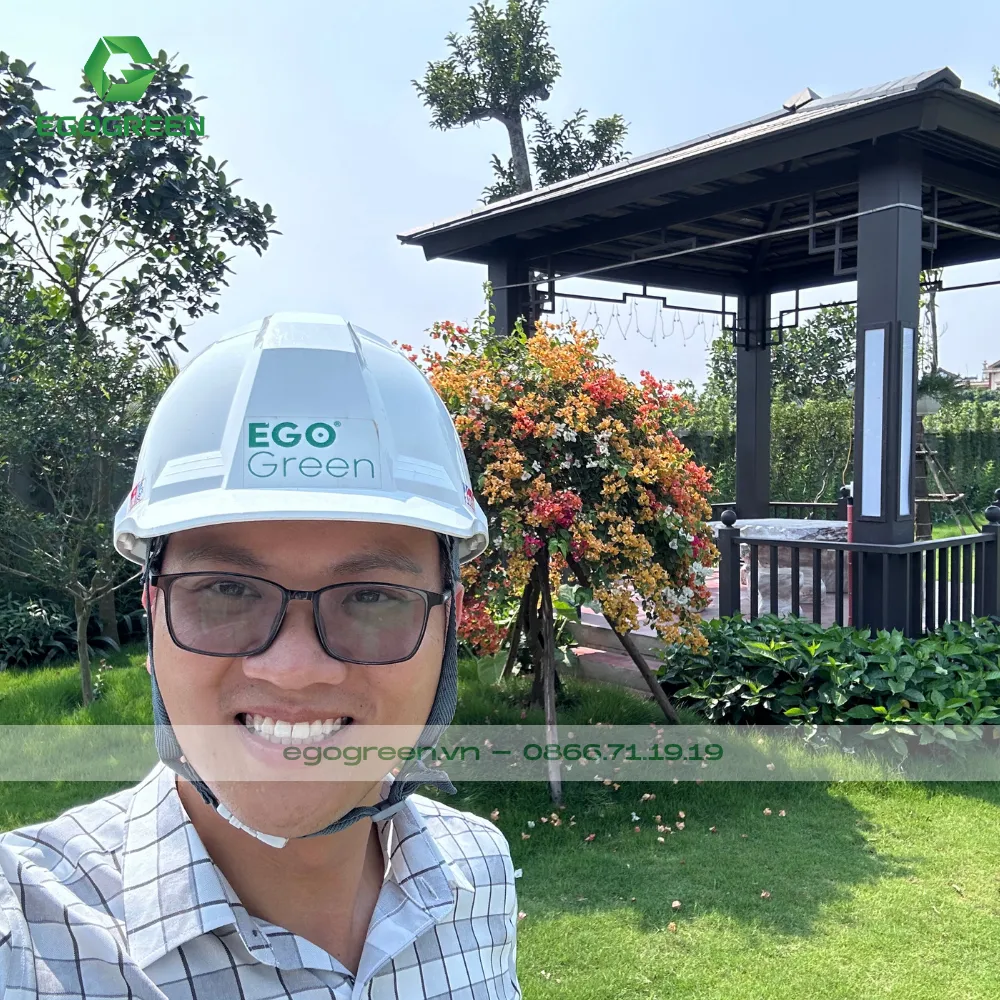 EGOGREEN sẽ lựa chọn loại cây phù hợp giúp gia chủ tiết kiệm ngân sách mà vẫn có sân vườn thẩm mỹ